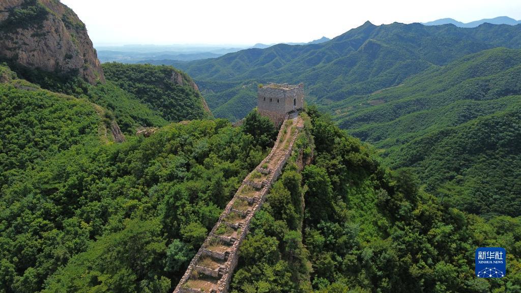 畅玩斗牛下载